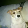 joditanner2 - @jodi3667 - TikTok