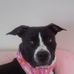 Jodi Tate - Facebook