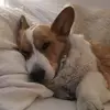 Jodi Todesco - @joditodesco - TikTok