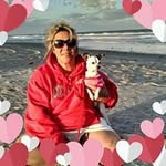 Jodi M Temple - @joditemple - Instagram