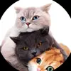 Jodie.terry96 - @jodie.terry96 - TikTok