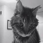 jodithornton - @jodithornton - Instagram