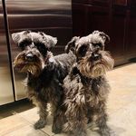Jody Kyca-Tompkins - @jotompkins - Instagram