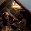 Jodie - @jodievogelxx - TikTok