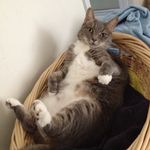 Jodi Walton - @nxenite - Instagram