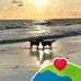 Jodi Walton - Facebook