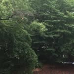 Jodi Warden Hodges - @jodi0124 - Instagram