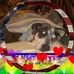 Jody Elaine Warden - Facebook