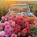 Jodi Brownson Ware - Facebook