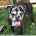 Jodi Ware Simpson - Facebook