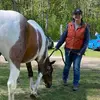 jodiweeks2 - @jodi21084 - TikTok