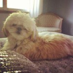 Jodi Weinstein - @jodiweinstein - Instagram