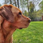 Jodi - @weirjodi - Instagram