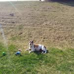 Jodi Whitaker - @jodi.whitaker.79 - Instagram