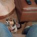 Jodi Whitaker - Facebook
