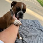 Jody Whitaker - @jodywhitaker - Instagram