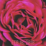 Jodian Johnson - @fabianroberts05 - Instagram