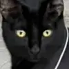 jodie.albertss - @jodie.albertss - TikTok