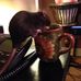 Bacon Jodie - Facebook