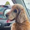 Jodie_Bear - @jodie___bear - TikTok