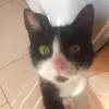 jodiebear - @yoyo1279 - TikTok
