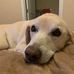 Jodi Beaver - Facebook