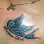 Jodie Beaver - @jodie.beaver.71 - Instagram