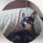 jodie beck - @jodiebeck571 - Instagram