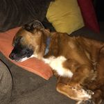 Jodie Rollans-Beck - @jodiebeck2234 - Instagram