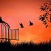Jodi Betts - Facebook