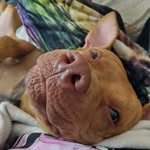 Jodie Riedel Boyer - @jodieriedl447 - Instagram