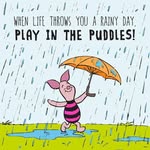 Jodi Brill - @jkgrshpr - Instagram