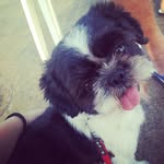Jodie Chan - @jodiechan5871 - Instagram