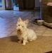 Jodie Erickson - Facebook