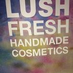 Jodie Fitzpatrick - @lush_435 - Instagram