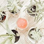 Jodie Frey Team - @90dayinvestment_maytoaug - Instagram