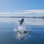 Jodie Gates - @jodie.gates.796 - Instagram