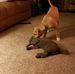 Jodie Hawkins - Facebook
