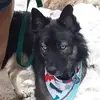 Jodie Holder - @jodie.holder - TikTok