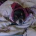 Jodi Holley - Facebook