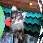 Jodi Holley - @jodiholley57 - Instagram