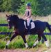 Jodie James - Facebook
