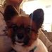 Jodie James - Facebook