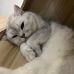 Jodie Lai - Facebook