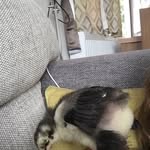 Jodie Amelia Hogwood - @jodieandlogan2005 - Instagram