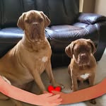 Jodie Logan - @jodie.logan.58 - Instagram
