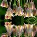 Jody Manning - Facebook