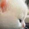 jodiemoorejemsb930 - @jodiemoorejemsb930 - TikTok