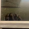 . - @jodieoconnor1234 - TikTok