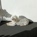 Jody O'Connor - Facebook